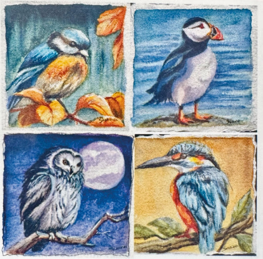 Digital Mini Blueprints – Birds – Digital Download | Print, Scale & Create