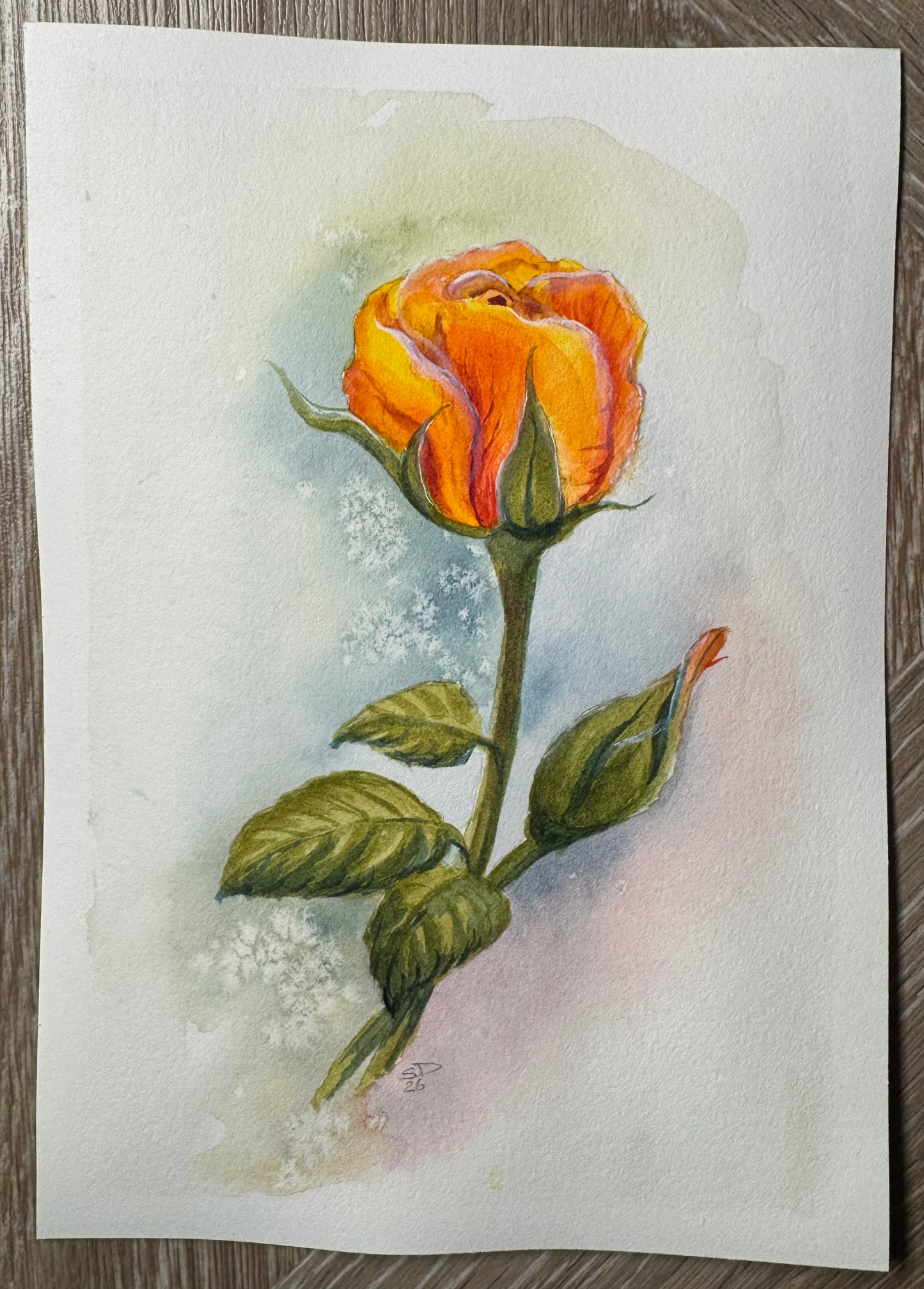 Create Along with Sheena – Paint Along: Yellow Rose in Watercolour