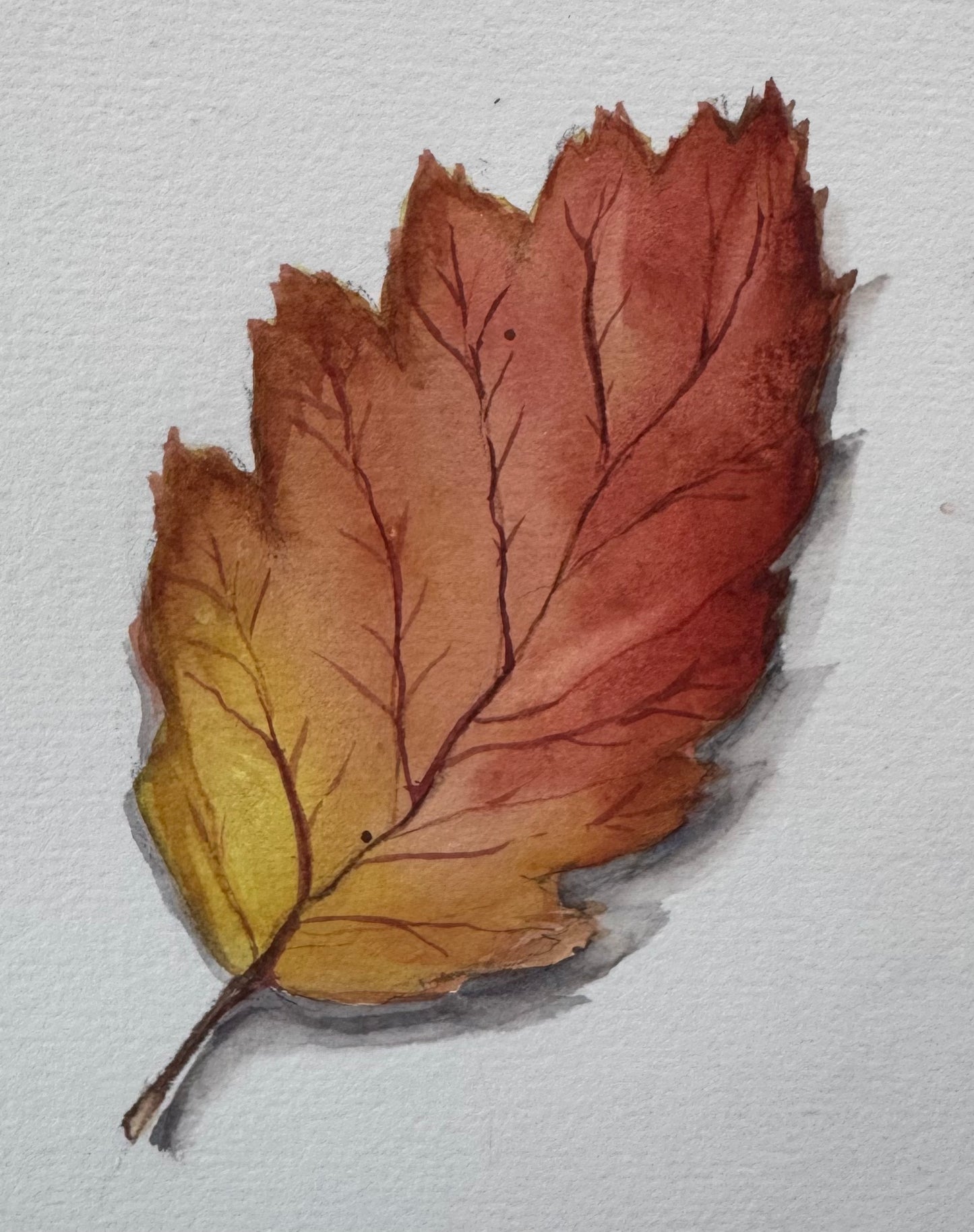 Watercolour Workshop: Luscious Leaves & Wet-in-Wet Magic (with Sheena & Maria)