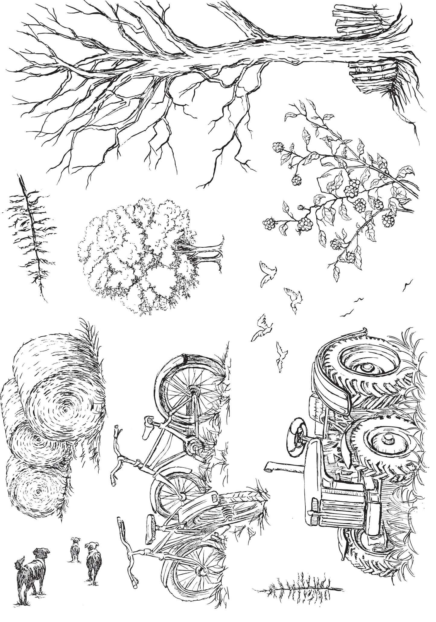 Advance Delivery! Create-A-Scene set of 2 A5 stamp sets with bonus aperture download: Field and Farrow & Trees and Meadows