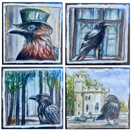 Digital Mini Blueprints – Ravens – Digital Download | Print, Scale & Create