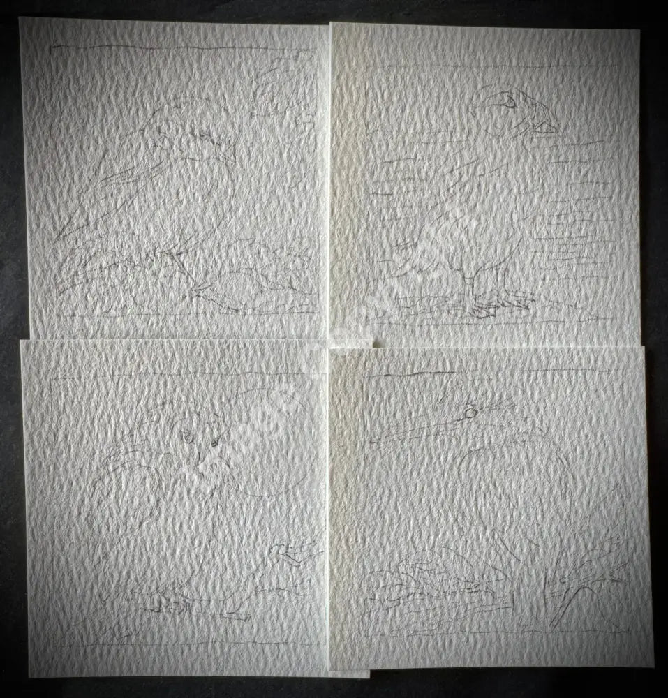 Birds Printed Mini Blueprints Printed Watercolour Card