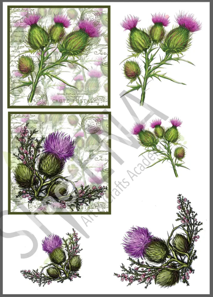 Floral Britannia Digital Bumper Collection