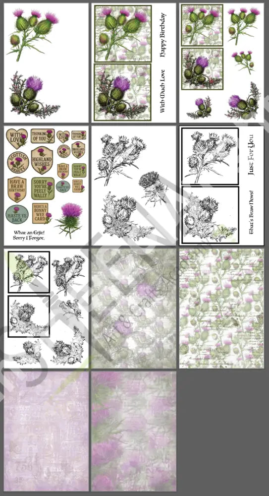 Floral Britannia Digital Bumper Collection