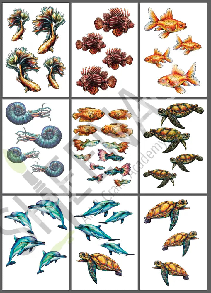 Oceans of Colour: The Complete Bumper Digital Undersea Craft Collection