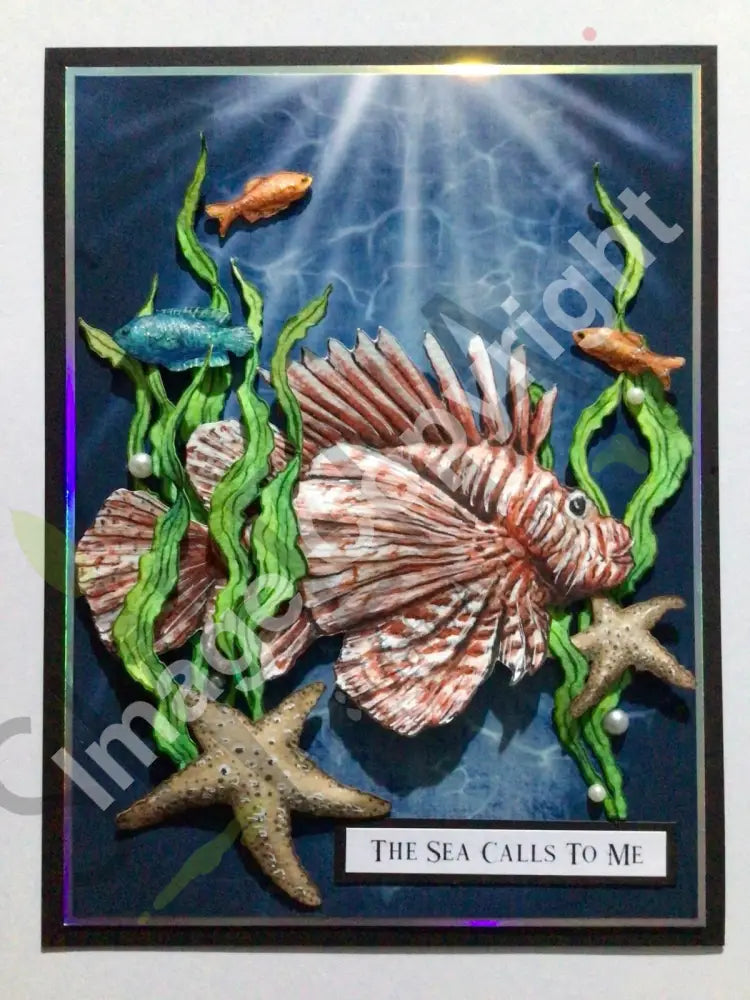 Oceans of Colour: The Complete Bumper Digital Undersea Craft Collection
