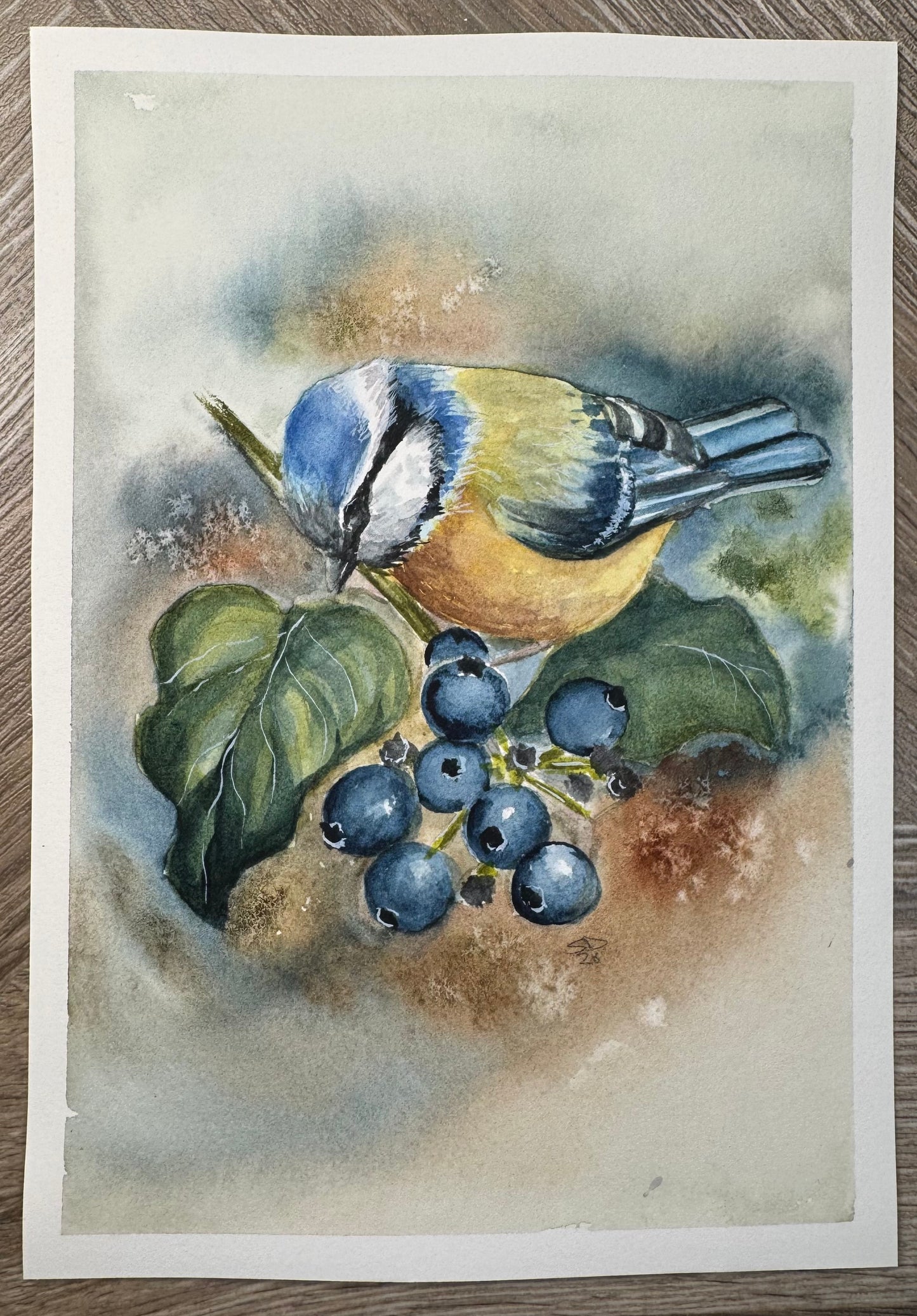 Create Along with Sheena – Paint Along: Blue Tit in Watercolour