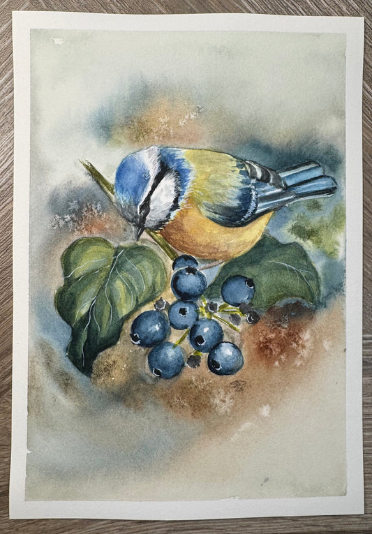 Create Along with Sheena – Paint Along: Blue Tit in Watercolour