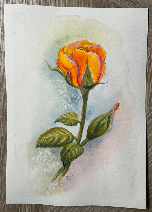 Create Along with Sheena – Paint Along: Yellow Rose in Watercolour