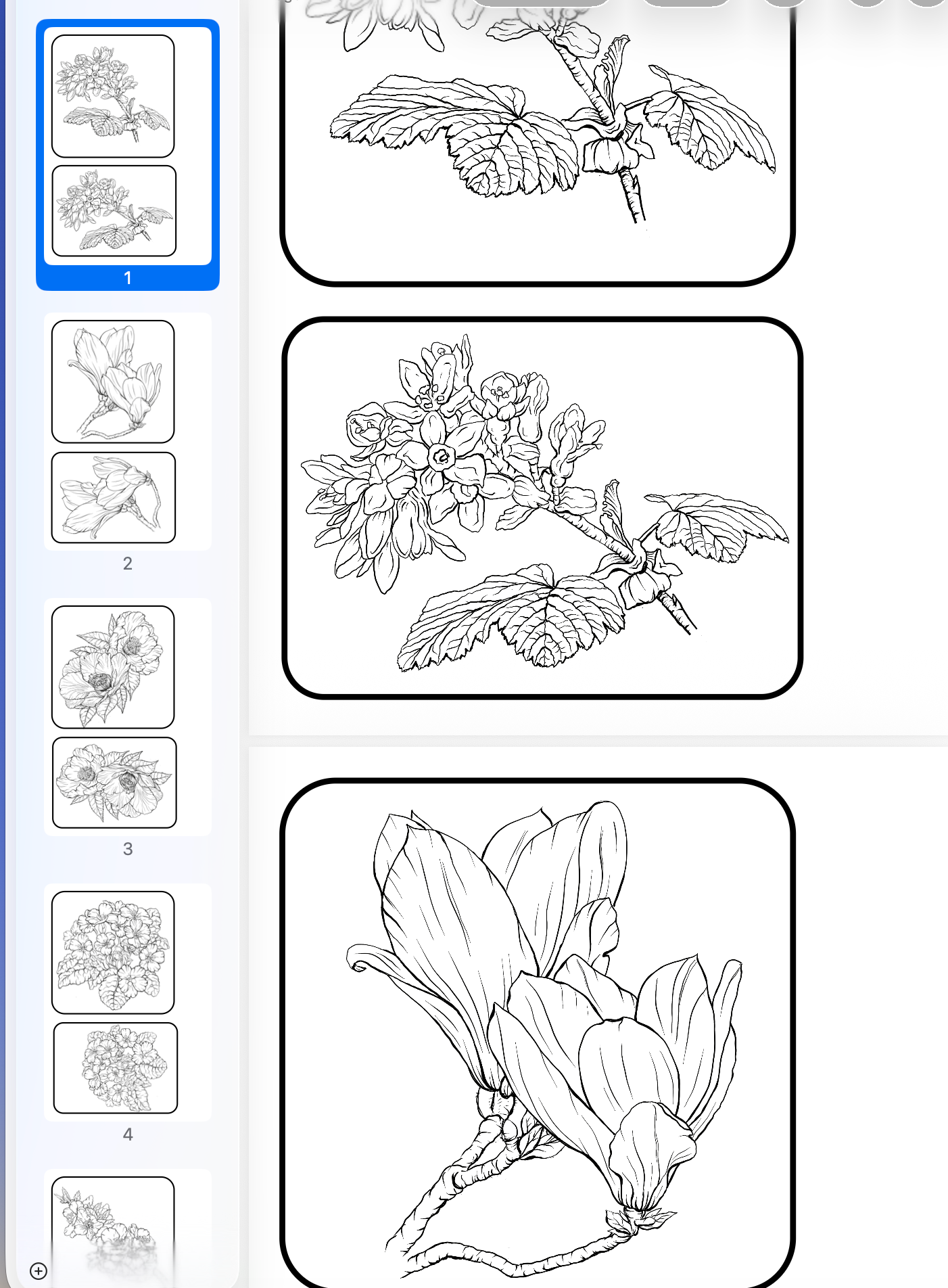 Botanicals from Cooper’s Garden – Premium Digital Stamp &amp; Paper Collection