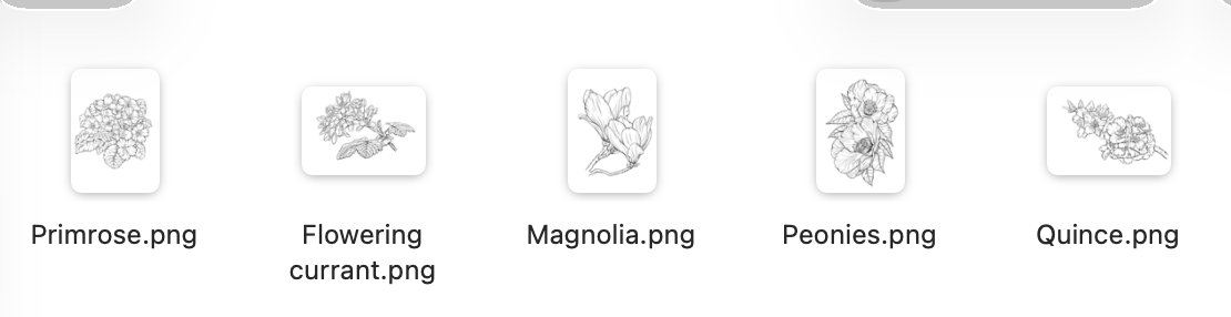 Botanicals from Cooper’s Garden – Premium Digital Stamp &amp; Paper Collection