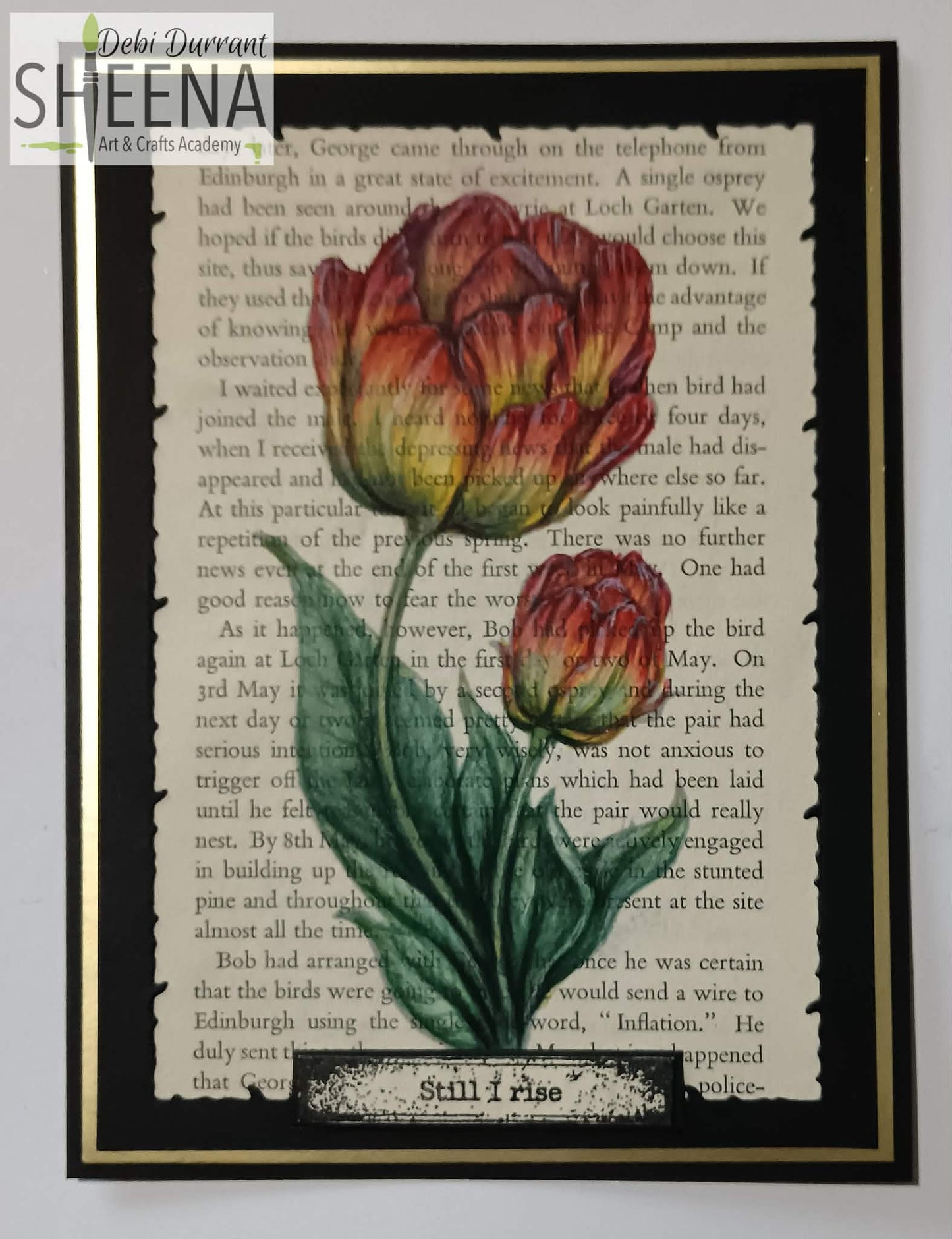Vintage Blooms – A4 Photopolymer Stamp Sheet