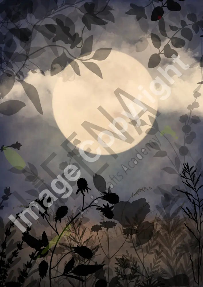 Bella Luna Backing Papers – Enchanted Moonlight Collection (12 Designs)
