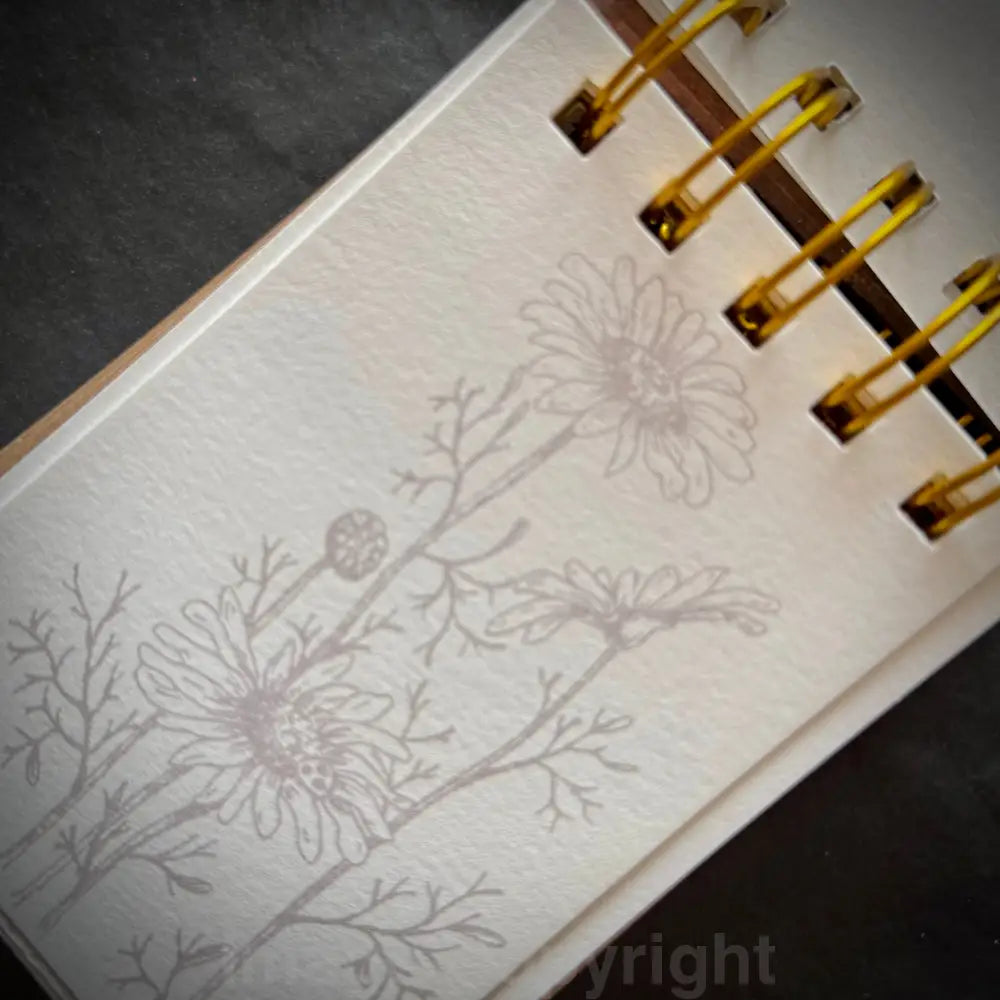 Compendium of Curious Sketches - a7 pre shadow printed mixed media sketchbook