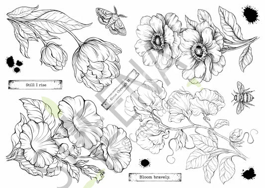 Pre Order! Vintage Blooms – A4 Photopolymer Stamp Sheet